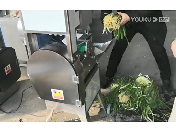 臺(tái)灣單頭切菜機(jī)葉類(lèi)菜